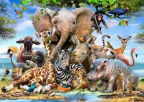 Babies In The Wild