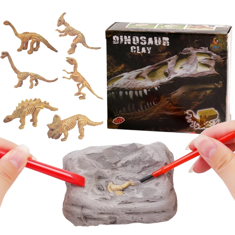 Dinosaur Excavation 28