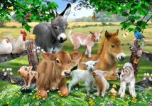 Farm Animals