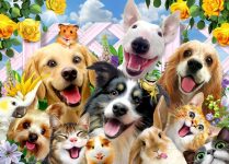 Happy Pets