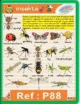Insekte