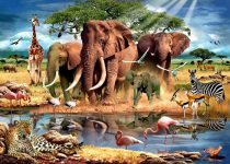 Kruger Park