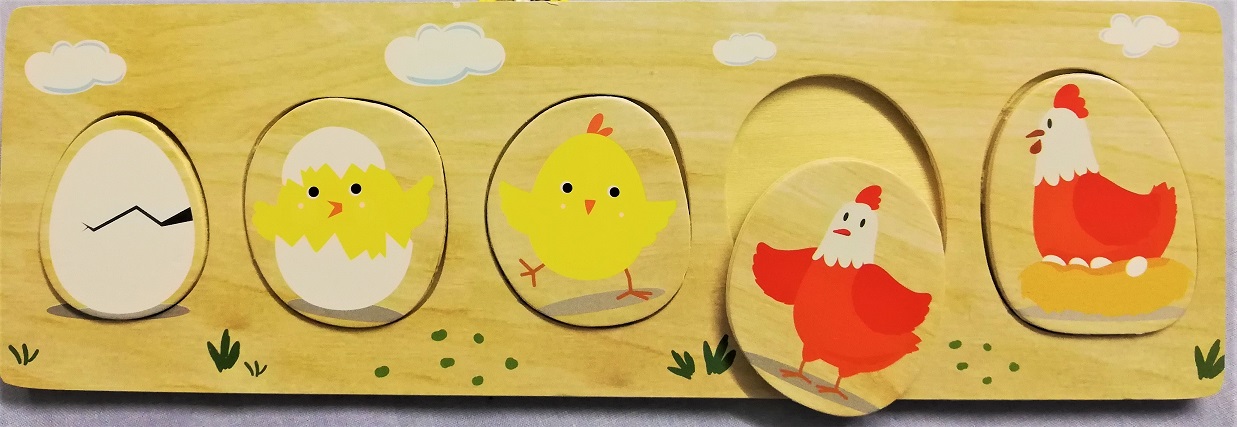 Life Cycle Chicken 2 S