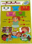 My Five Senses Poster S
