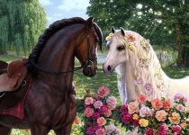 Over The Fence 80pc 1