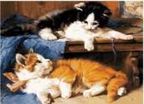Paint By Number Cats Resting 1