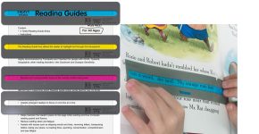 Reading Highlight Strips 8