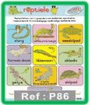 Reptiele Muurkaart