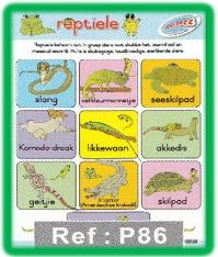 Reptiele Muurkaart