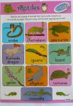 Reptiles Poster S