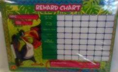 Reward Chart 1 S
