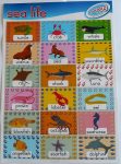 Sea Life Poster S