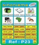 Sinonieme Muurkaart
