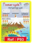 Water Cycle Poster
