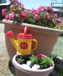 Watering Can Large 5 Ss