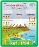 Watersiklus Muurkaart