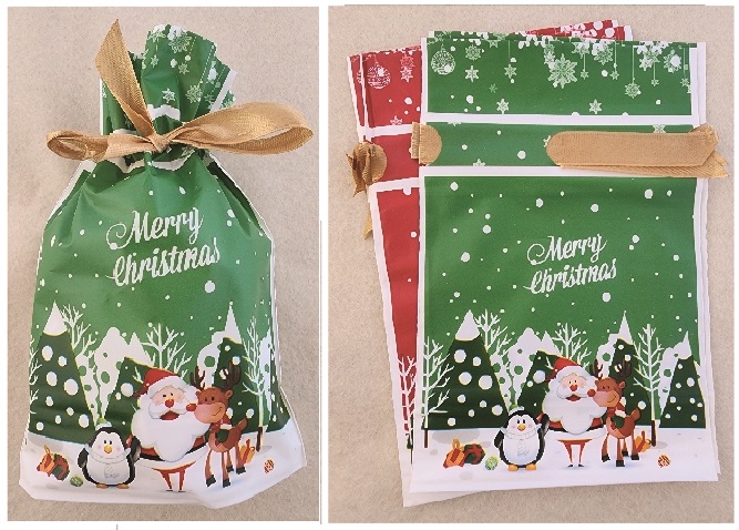 Christmas Drawstring Bags (medium) 1 S